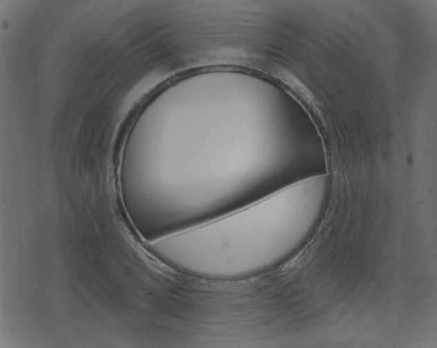 X0000071341072200606230731
