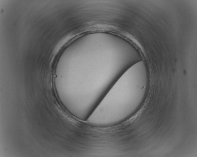 X0000071341075200606230731