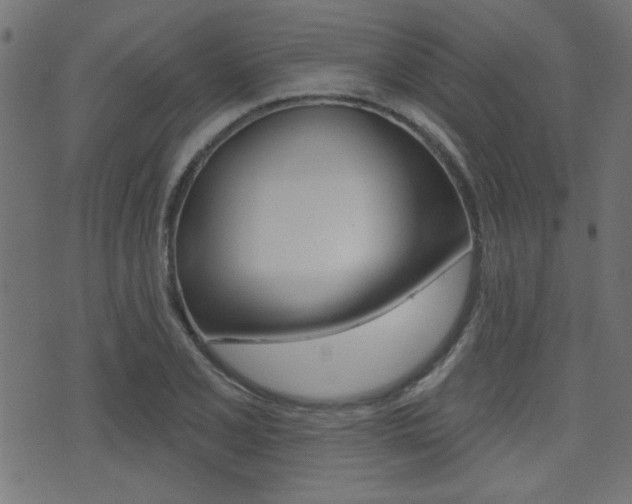 X0000071341077200606230731