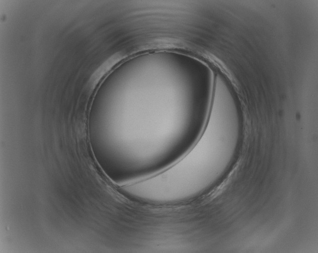 X0000071341081200606230731