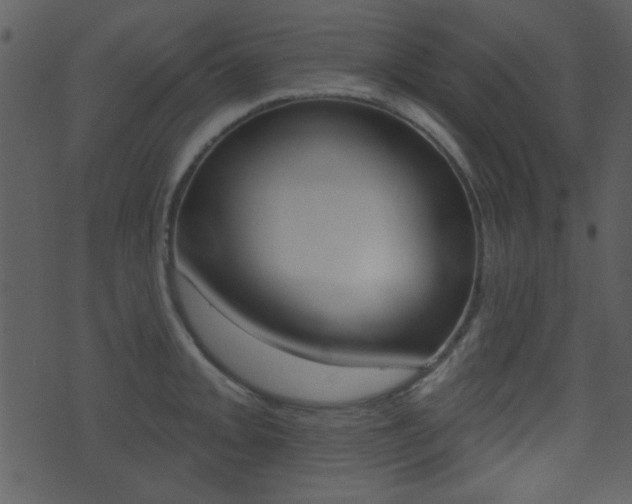 X0000071341093200606230731