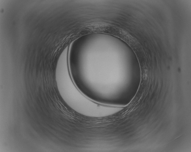 X0000071341108200606230730
