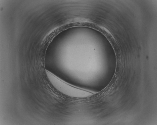 X0000071341112200606230730