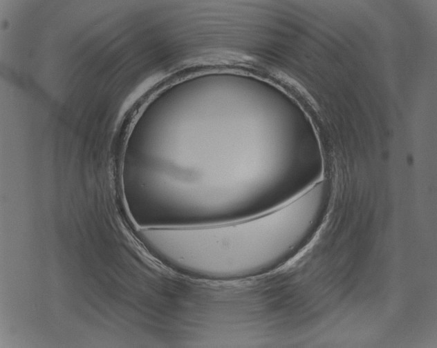 X0000071341114200606230730