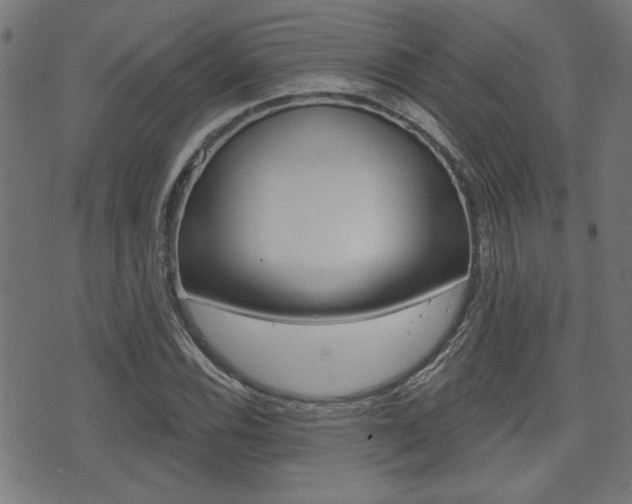 X0000071341116200606230730