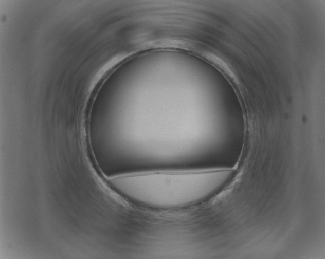 X0000071341133200606230730