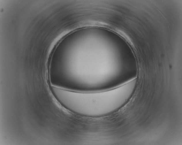X0000071341136200606230730