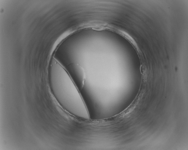 X0000071341146200606230731