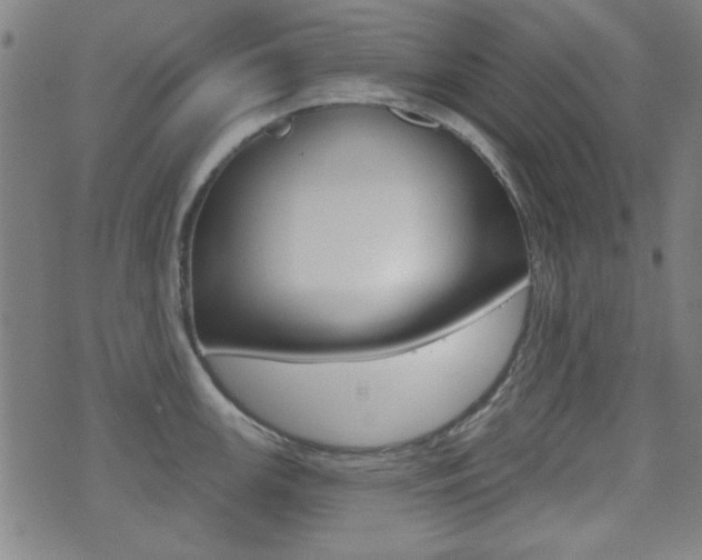 X0000071341147200606230731