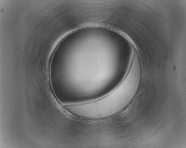 X0000071341148200606230731