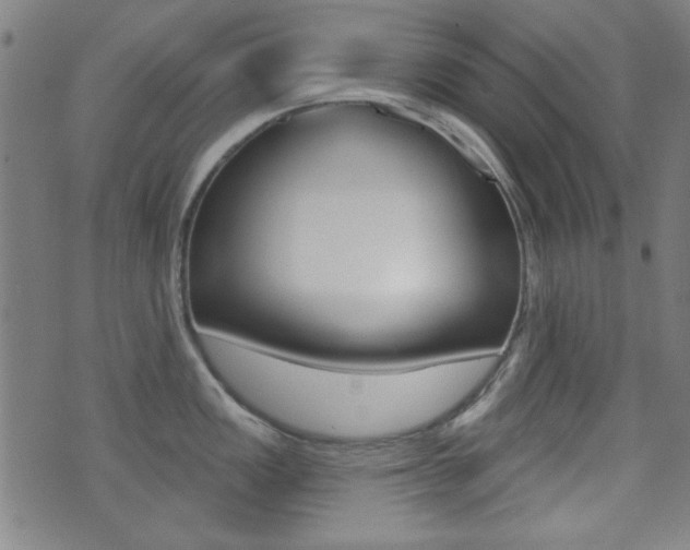 X0000071341149200606230731