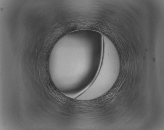 X0000071341153200606230730