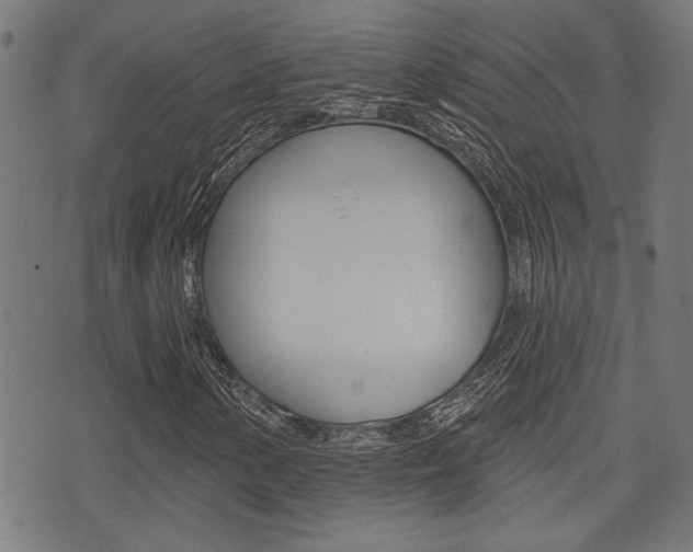 X0000071341154200606230730
