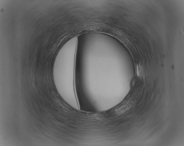 X0000071341155200606230730