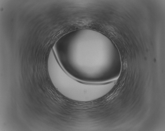 X0000071341156200606230730