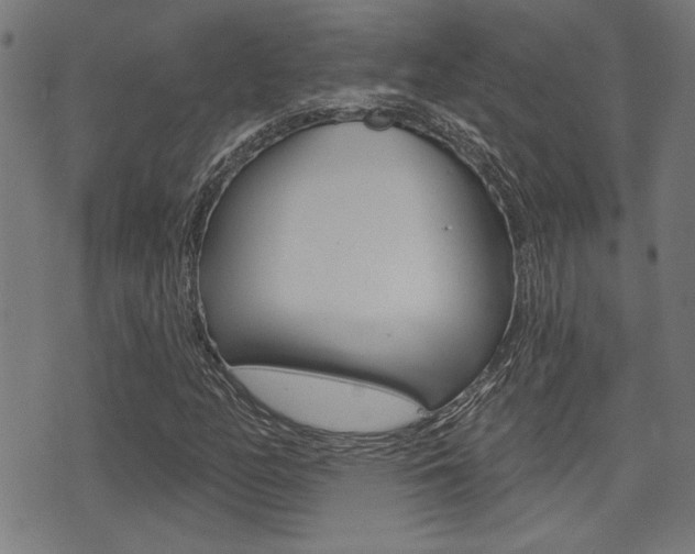 X0000071341158200606230730