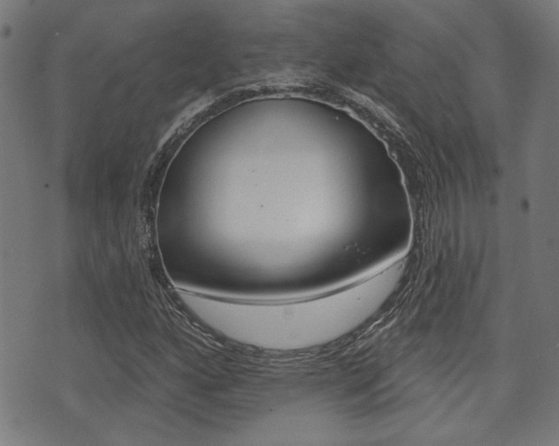 X0000071341160200606230730