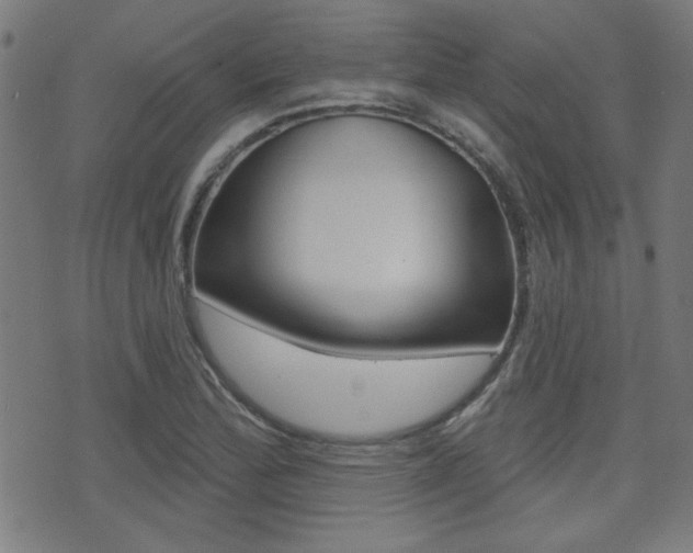 X0000071341172200606230730