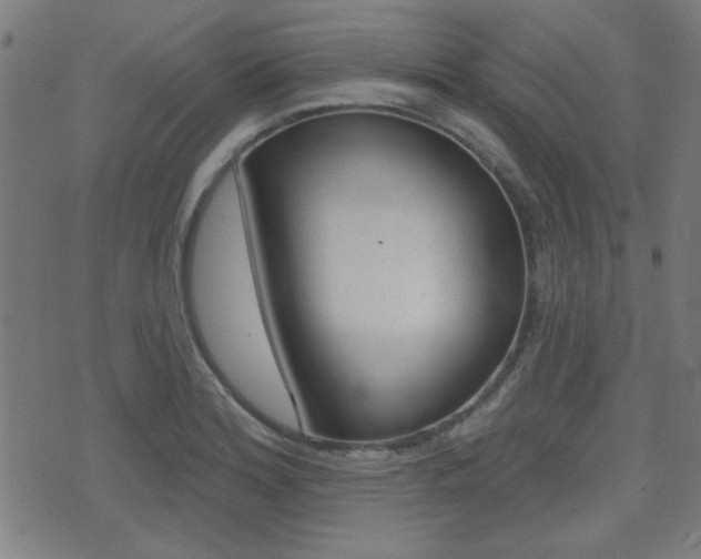 X0000071341180200606230730