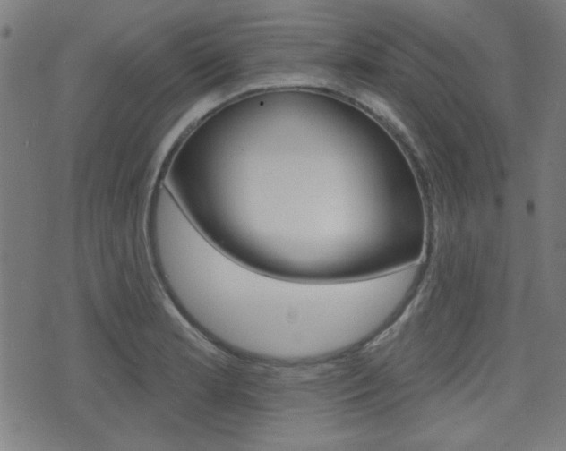 X0000071341181200606230729