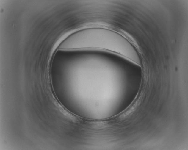 X0000071341192200606230729