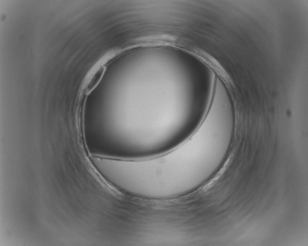 X0000071341196200606230729