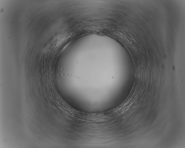 X0000071341201200606230728