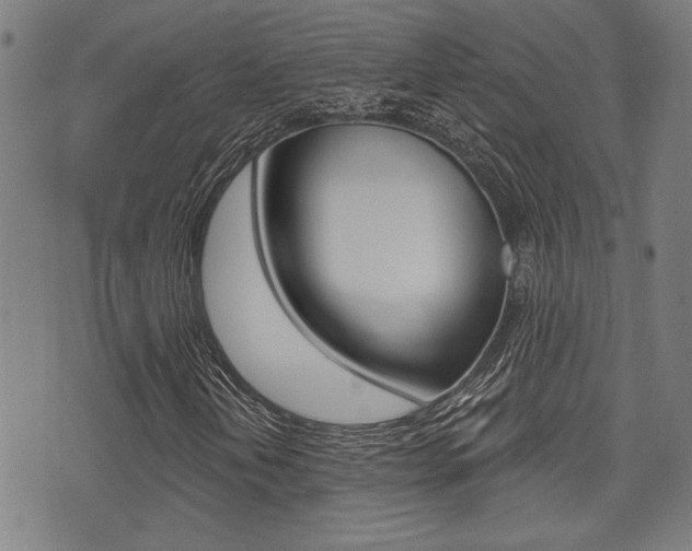X0000071341202200606230728
