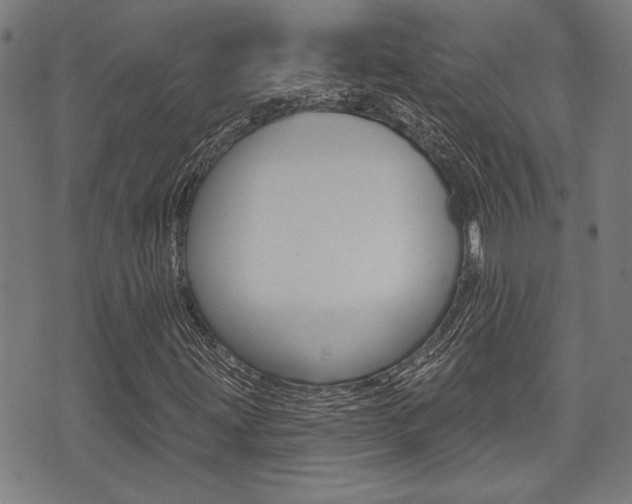 X0000071341203200606230728