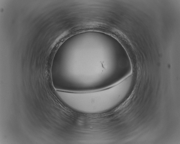 X0000071341210200606230729