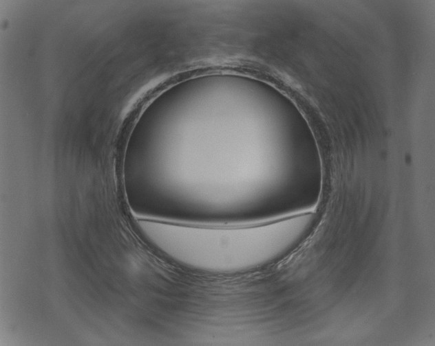 X0000071341214200606230729