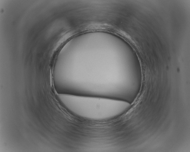 X0000071341219200606230729