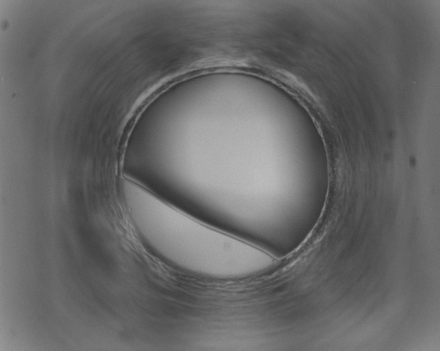 X0000071341220200606230729