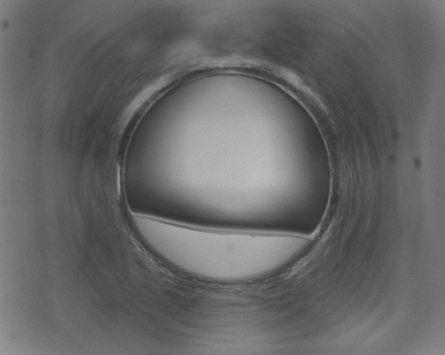 X0000071341221200606230729