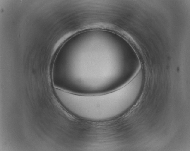 X0000071341230200606230729