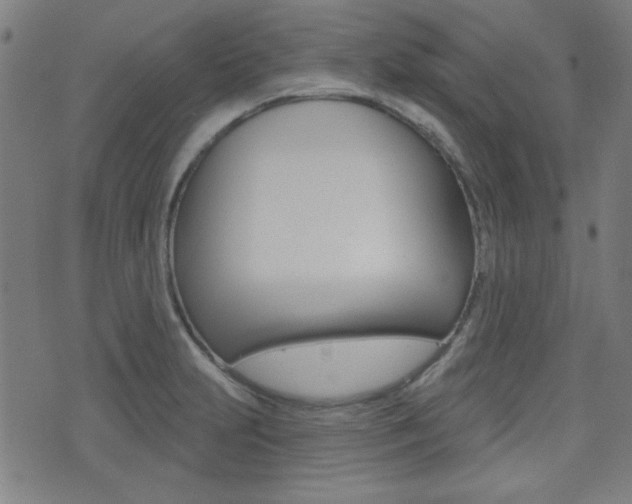 X0000071341231200606230729