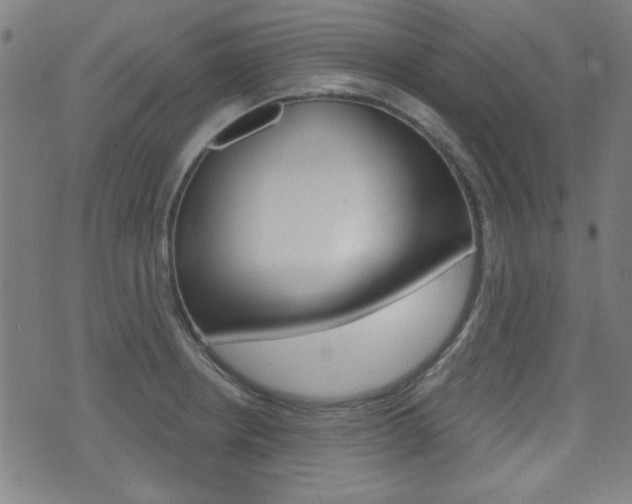 X0000071341234200606230729