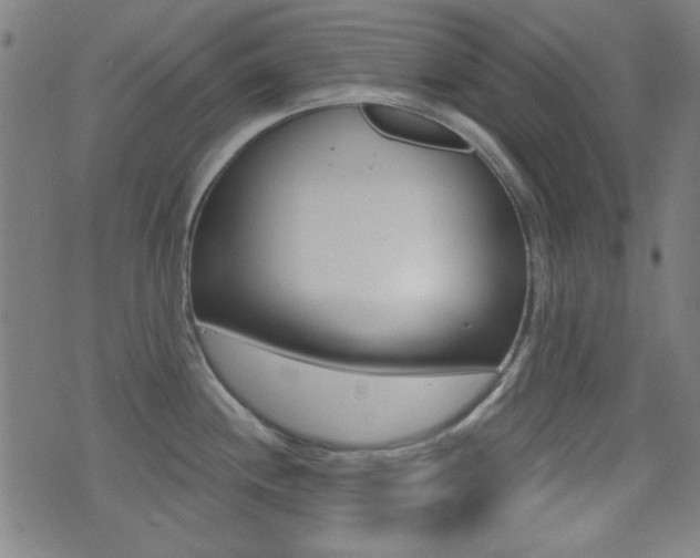 X0000071341244200606230729
