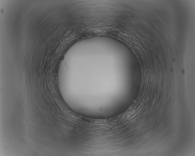 X0000071341249200606230728