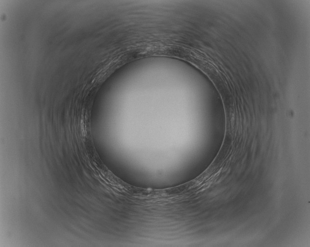 X0000071341250200606230728