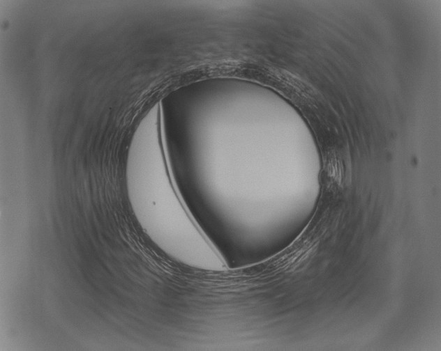 X0000071341252200606230728