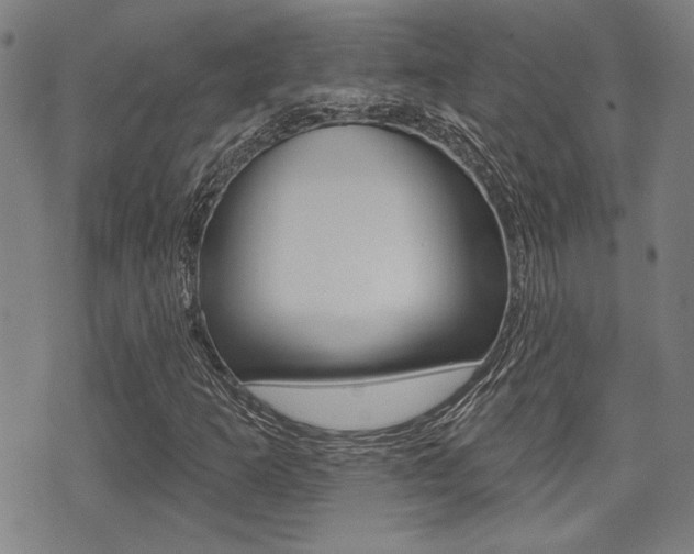 X0000071341253200606230728