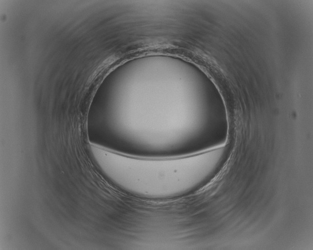 X0000071341257200606230728