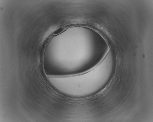X0000071341261200606230728