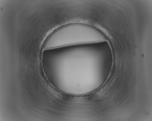 X0000071341264200606230728