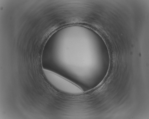 X0000071341265200606230728