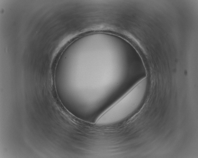 X0000071341270200606230728
