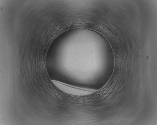 X0000071341298200606230727