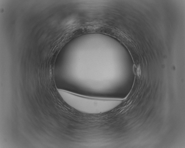 X0000071341299200606230727