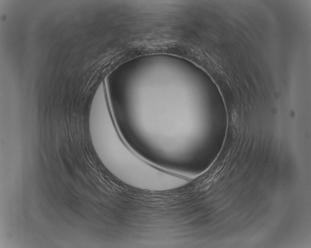 X0000071341300200606230727